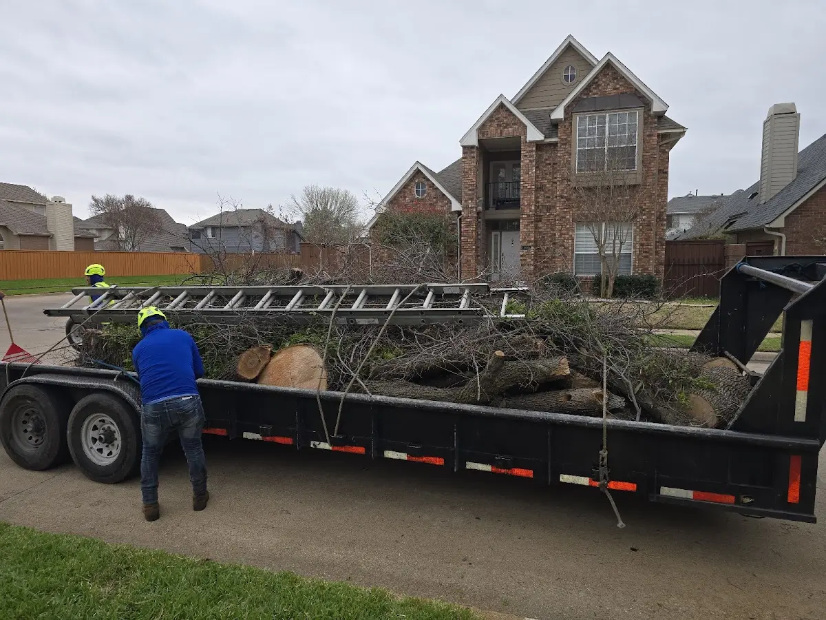 Expert Tree Fertilization with proper safety equipment in Union